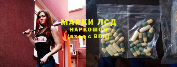 прущие грибы Алексеевка