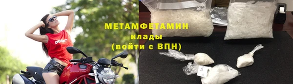индика Елизово