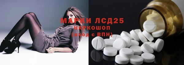 молекула духа Елабуга