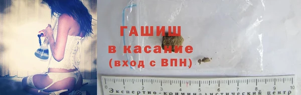 прущие грибы Алексеевка