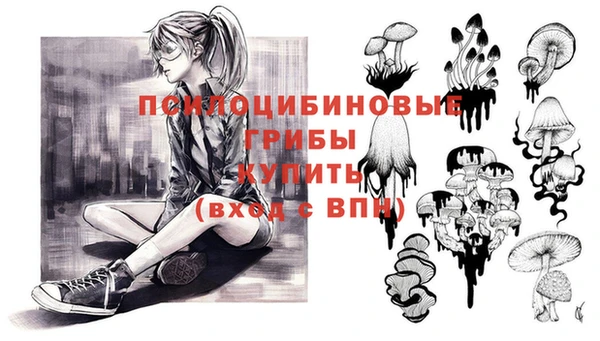 прущие грибы Алексеевка